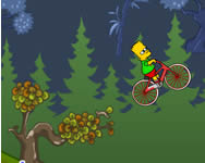 Simpson Csald - The Simpson bike